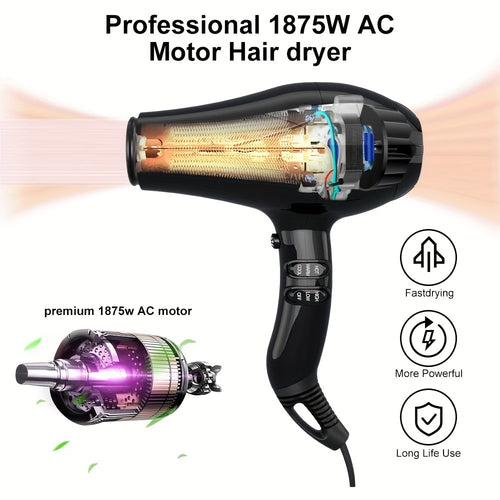 1875W Professional Hair Dryer with Ionic\u002F Technology & Negative Ion Generator - 4-in-1 Attachments (Diffuser, Comb, Concentrator Nozzles) - Fast Drying, Low Noise, Lightweight Blow Dryer for Thick\u002FThin Hair, Salon-Quality Styling ( Plug